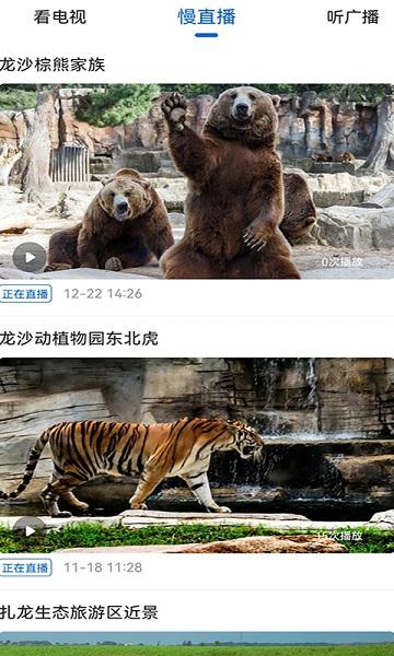 看齐新闻网下载,看齐新闻,新闻app,资讯app